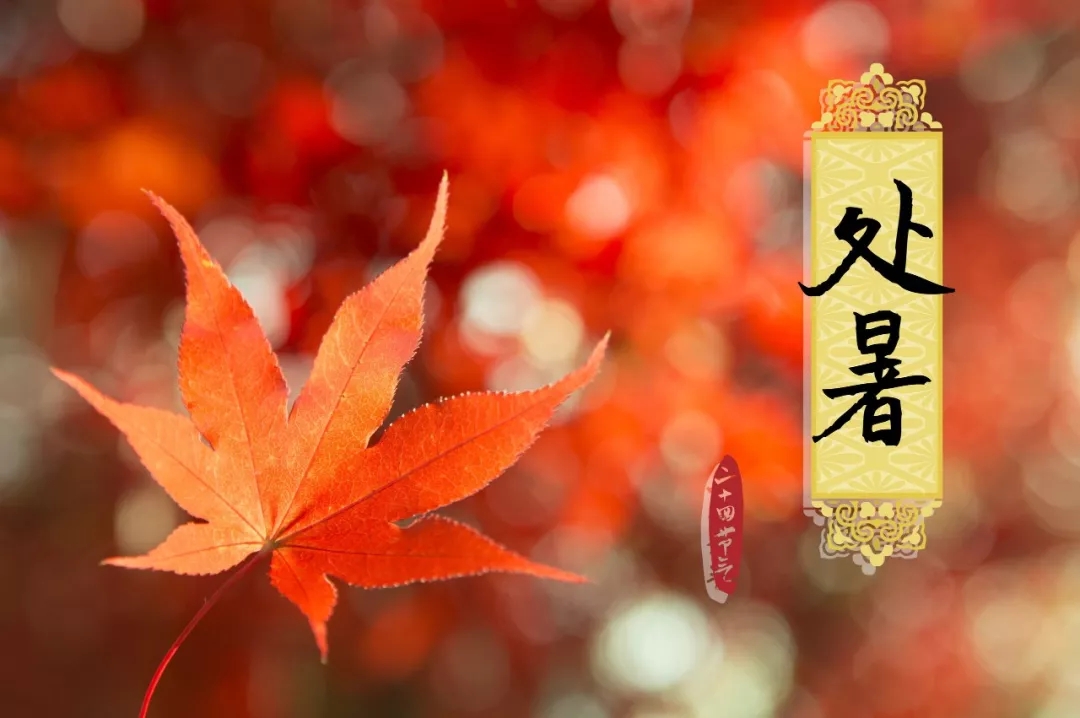 今日【處暑】請收下來自神马电影网的一份溫馨小貼（tiē）士！