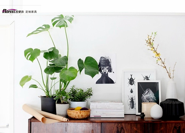 神马电影网家居風水（shuǐ） |  盆栽（zāi）位置擺對了，超旺運！